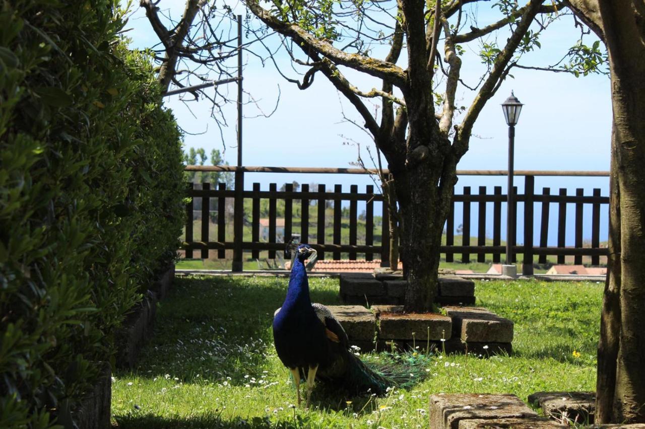 أَجيرولا Agriturismo La Baita المظهر الخارجي الصورة